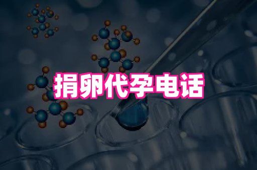 国际助孕网站 2