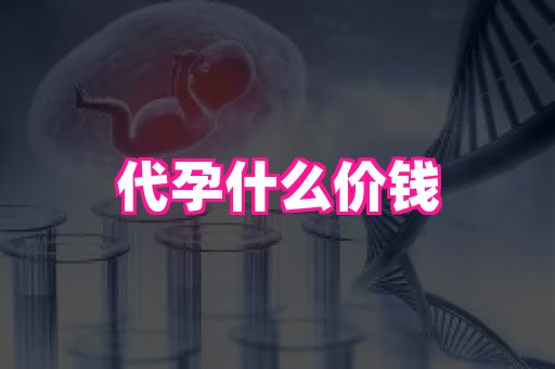 国际助孕网站 3