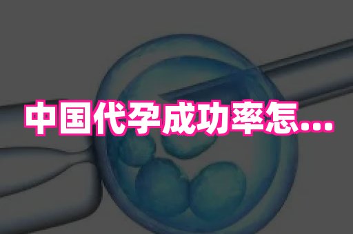 国际助孕网站 4